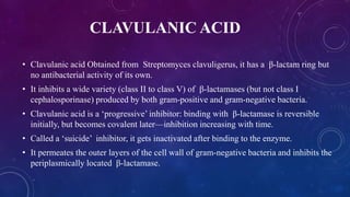 CLAVULANIC ACID
• Clavulanic acid Obtained from Streptomyces clavuligerus, it has a β-lactam ring but
no antibacterial activity of its own.
• It inhibits a wide variety (class II to class V) of β-lactamases (but not class I
cephalosporinase) produced by both gram-positive and gram-negative bacteria.
• Clavulanic acid is a ‘progressive’ inhibitor: binding with β-lactamase is reversible
initially, but becomes covalent later—inhibition increasing with time.
• Called a ‘suicide’ inhibitor, it gets inactivated after binding to the enzyme.
• It permeates the outer layers of the cell wall of gram-negative bacteria and inhibits the
periplasmically located β-lactamase.
 