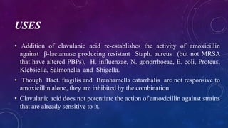USES
• Addition of clavulanic acid re-establishes the activity of amoxicillin
against β-lactamase producing resistant Staph. aureus (but not MRSA
that have altered PBPs), H. influenzae, N. gonorrhoeae, E. coli, Proteus,
Klebsiella, Salmonella and Shigella.
• Though Bact. fragilis and Branhamella catarrhalis are not responsive to
amoxicillin alone, they are inhibited by the combination.
• Clavulanic acid does not potentiate the action of amoxicillin against strains
that are already sensitive to it.
 
