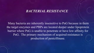 BACTERIAL RESISTANCE
Many bacteria are inherently insensitive to PnG because in them
the target enzymes and PBPs are located deeper under lipoprotein
barrier where PnG is unable to penetrate or have low affinity for
PnG. The primary mechanism of acquired resistance is
production of penicillinase.
 