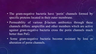 • The gram-negative bacteria have ‘porin’ channels formed by
specific proteins located in their outer membrane.
• Permeability of various β-lactam antibiotics through these
channels differs: ampicillin and other members which are active
against gram-negative bacteria cross the porin channels much
better than PnG.
• Some gram-negative bacteria become resistant by loss or
alteration of porin channels.
 