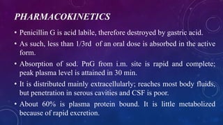 PHARMACOKINETICS
• Penicillin G is acid labile, therefore destroyed by gastric acid.
• As such, less than 1/3rd of an oral dose is absorbed in the active
form.
• Absorption of sod. PnG from i.m. site is rapid and complete;
peak plasma level is attained in 30 min.
• It is distributed mainly extracellularly; reaches most body fluids,
but penetration in serous cavities and CSF is poor.
• About 60% is plasma protein bound. It is little metabolized
because of rapid excretion.
 