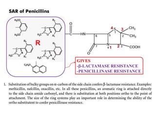 R
GIVES
--LACTAMASE RESISTANCE
-PENICILLINASE RESISTANCE
3
2
1
4
 