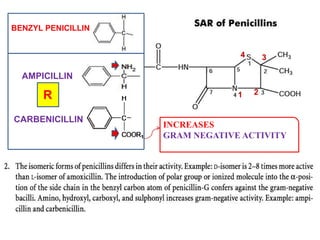 BENZYL PENICILLIN
AMPICILLIN
CARBENICILLIN
INCREASES
GRAM NEGATIVE ACTIVITY
R
3
2
1
4
 