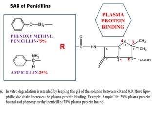 PLASMA
PROTEIN
BINDING
PHENOXY METHYL
PENICILLIN-75%
AMPICILLIN-25%
R
3
2
1
4
 