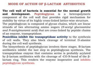 MODE OF ACTION OF β-LACTAM ANTIBIOTICS
The cell wall of bacteria is essential for the normal growth
and development. Peptidoglycan is a heteropolymeric
component of the cell wall that provides rigid mechanism for
stability by virtue of its highly cross-linked lattice-wise structure.
The peptidoglycan is composed of glycan chains, which are linear
strands of two alternating amino sugars (N-acetyl glucosamine
and N-acetylmuramic acid) that are cross-linked by peptide chains
of an enzyme, transpeptidase.
Penicillins inhibit the transpeptidase activity to the synthesis
of cell walls. They also block cleavage of terminal D-alanine
during the cell wall synthesis.
The biosynthesis of peptidoglycan involves three stages. Β-lactam
antibiotics inhibit the last step in peptidoglycan synthesis. The
transpeptidase enzyme that contains serine is probably acylated
by β-lactam antibiotics with the cleavage of -CO-N-bond of the β-
lactam ring. This renders the enzyme inoperative and inhibits
peptidoglycan synthesis.
 