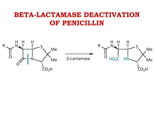 ΒETA-LACTAMASE DEACTIVATION
OF PENICILLIN
 
