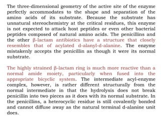 The three-dimensional geometry of the active site of the enzyme
perfectly accommodates to the shape and separation of the
amino acids of its substrate. Because the substrate has
unnatural stereochemistry at the critical residues, this enzyme
is not expected to attack host peptides or even other bacterial
peptides composed of natural amino acids. The penicillins and
the other β-lactam antibiotics have a structure that closely
resembles that of acylated d-alanyl-d-alanine. The enzyme
mistakenly accepts the penicillin as though it were its normal
substrate.
The highly strained β-lactam ring is much more reactive than a
normal amide moiety, particularly when fused into the
appropriate bicyclic system. The intermediate acyl-enzyme
complex, however, is rather different structurally from the
normal intermediate in that the hydrolysis does not break
penicillin into two pieces as it does with its normal substrate. In
the penicillins, a heterocyclic residue is still covalently bonded
and cannot diffuse away as the natural terminal d-alanine unit
does.
 