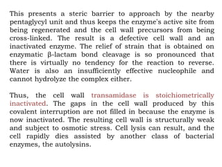 This presents a steric barrier to approach by the nearby
pentaglycyl unit and thus keeps the enzyme’s active site from
being regenerated and the cell wall precursors from being
cross-linked. The result is a defective cell wall and an
inactivated enzyme. The relief of strain that is obtained on
enzymatic β-lactam bond cleavage is so pronounced that
there is virtually no tendency for the reaction to reverse.
Water is also an insufficiently effective nucleophile and
cannot hydrolyze the complex either.
Thus, the cell wall transamidase is stoichiometrically
inactivated. The gaps in the cell wall produced by this
covalent interruption are not filled in because the enzyme is
now inactivated. The resulting cell wall is structurally weak
and subject to osmotic stress. Cell lysis can result, and the
cell rapidly dies assisted by another class of bacterial
enzymes, the autolysins.
 