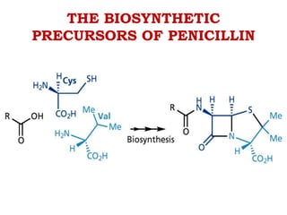 THE BIOSYNTHETIC
PRECURSORS OF PENICILLIN
 