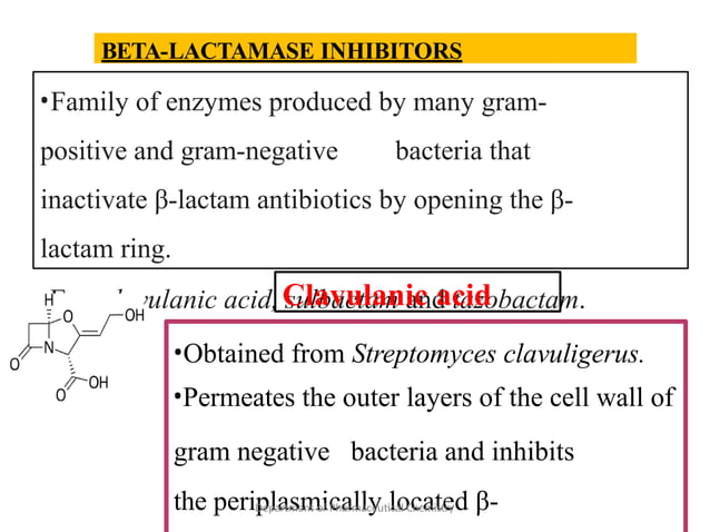 Penicillins Pptx Antibiotics Medicinal Chemistry Pptx