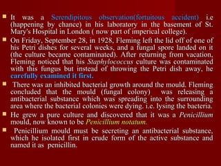  It was aIt was a Serendipitous observation(fortuitous accident)Serendipitous observation(fortuitous accident) i.ei.e
(happening by chance) in his laboratory in the basement of St.(happening by chance) in his laboratory in the basement of St.
Mary's Hospital in London ( now part of imperical college).Mary's Hospital in London ( now part of imperical college).
 On Friday, September 28, in 1928, Fleming left the lid off of one ofOn Friday, September 28, in 1928, Fleming left the lid off of one of
his Petri dishes for several weeks, and a fungal spore landed on ithis Petri dishes for several weeks, and a fungal spore landed on it
(the culture became contaminated). After returning from vacation,(the culture became contaminated). After returning from vacation,
Fleming noticed that hisFleming noticed that his StaphylococcusStaphylococcus culture was contaminatedculture was contaminated
with this fungus but instead of throwing the Petri dish away, hewith this fungus but instead of throwing the Petri dish away, he
carefully examined it first.carefully examined it first.
 There was an inhibited bacterial growth around the mould. FlemingThere was an inhibited bacterial growth around the mould. Fleming
concluded that the mould (fungal colony) was releasing aconcluded that the mould (fungal colony) was releasing a
antibacterial substance which was spreading into the surroundingantibacterial substance which was spreading into the surrounding
area where the bacterial colonies were dying. i.e. lysing the bacteria.area where the bacterial colonies were dying. i.e. lysing the bacteria.
 He grew a pure culture and discovered that it was aHe grew a pure culture and discovered that it was a PenicilliumPenicillium
mould, now known to bemould, now known to be Penicillium notatum.Penicillium notatum.
 Penicillium mould must be secreting an antibacterial substance,Penicillium mould must be secreting an antibacterial substance,
which he isolated first in crude form of the active substance andwhich he isolated first in crude form of the active substance and
named it as penicillin.named it as penicillin.
 