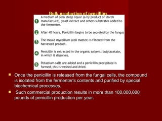  Once the penicillin is released from the fungal cells, the compoundOnce the penicillin is released from the fungal cells, the compound
is isolated from the fermenter's contents and purified by specialis isolated from the fermenter's contents and purified by special
biochemical processes.biochemical processes.
 Such commercial production results in more than 100,000,000Such commercial production results in more than 100,000,000
pounds of penicillin production per year.pounds of penicillin production per year.
Bulk production of pencillins
 