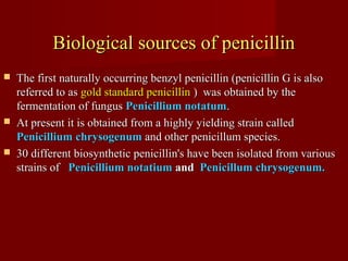 Biological sources of penicillinBiological sources of penicillin
 The first naturally occurring benzyl penicillin (penicillin G is alsoThe first naturally occurring benzyl penicillin (penicillin G is also
referred to asreferred to as gold standard penicillingold standard penicillin ) was obtained by the) was obtained by the
fermentation of fungusfermentation of fungus Penicillium notatumPenicillium notatum..
 At present it is obtained from a highly yielding strain calledAt present it is obtained from a highly yielding strain called
PenicilliumPenicillium chrysogenumchrysogenum and other penicillum species.and other penicillum species.
 30 different biosynthetic penicillin's have been isolated from various30 different biosynthetic penicillin's have been isolated from various
strains ofstrains of Penicillium notatiumPenicillium notatium andand Penicillum chrysogenum.Penicillum chrysogenum.
 