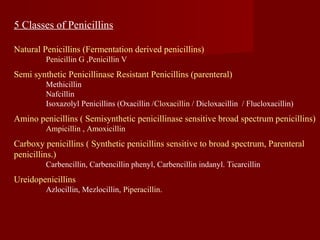 5 Classes of Penicillins
Natural Penicillins (Fermentation derived penicillins)
Penicillin G ,Penicillin V
Semi synthetic Penicillinase Resistant Penicillins (parenteral)
Methicillin
Nafcillin
Isoxazolyl Penicillins (Oxacillin /Cloxacillin / Dicloxacillin / Flucloxacillin)
Amino penicillins ( Semisynthetic penicillinase sensitive broad spectrum penicillins)
Ampicillin , Amoxicillin
Carboxy penicillins ( Synthetic penicillins sensitive to broad spectrum, Parenteral
penicillins.)
Carbencillin, Carbencillin phenyl, Carbencillin indanyl. Ticarcillin
Ureidopenicillins
Azlocillin, Mezlocillin, Piperacillin.
 