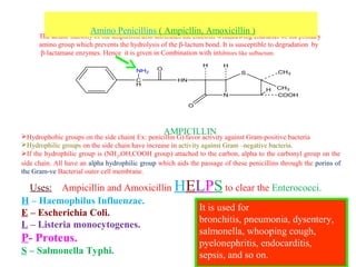 The acidic stability of the ampicillin also attributes the electron withdrawing character of the primary
amino group which prevents the hydrolysis of the β-lactum bond. It is susceptible to degradation by
β-lactamase enzymes. Hence it is given in Combination with inhibitors like sulbactum.
Hydrophobic groups on the side chain( Ex: penicillin G) favor activity against Gram-positive bacteria
Hydrophilic groups on the side chain have increase in activity against Gram –negative bacteria.
If the hydrophilic group is (NH2,OH,COOH group) attached to the carbon, alpha to the carbonyl group on the
side chain. All have an alpha hydrophilic group which aids the passage of these penicillins through the porins of
the Gram-ve Bacterial outer cell membrane.
Uses: Ampicillin and Amoxicillin HELPS to clear the Enterococci.
H – Haemophilus Influenzae.
E – Escherichia Coli.
L – Listeria monocytogenes.
P- Proteus.
S – Salmonella Typhi.
Amino Penicillins ( Ampicllin, Amoxicillin )
AMPICILLIN
N
S CH3
CH3
COOH
O
HN
O
C
H
H H
NH2
H
It is used for
bronchitis, pneumonia, dysentery,
salmonella, whooping cough,
pyelonephritis, endocarditis,
sepsis, and so on.
 