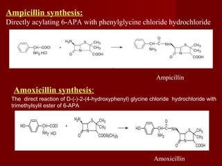 Ampicillin synthesis:
Directly acylating 6-APA with phenylglycine chloride hydrochloride
Ampicillin
Amoxicillin synthesis:
The direct reaction of D-(-)-2-(4-hydroxyphenyl) glycine chloride hydrochloride with
trimethylsylil ester of 6-APA
Amoxicillin
 