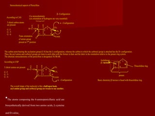 The atoms composing the 6-aminopenicillanic acid are
biosynthetically derived from two amino acids, L-cysteine
and D-valine.
N
S
CH3
HH
O
COOH
2
3
HNC
O
R 1
4
5
7
6
According to CAS
According to USP
N
S CH3
CH3
HH
O
COOH
2
3
H
HNC
O
R
1
4
5
7
6
Stereochemical aspects of Penicillins
Cis stereochemistry
(cis orientation of hydrogens are very essenttial)
H
α - Configuration
β- Configuration
CH3
α - Configuration
The overall shape of the molecule is like a half-open book.
acyl amino group and corboxyl group are treans to one another.
3 chiral carbon atoms
are present
C- 3
C- 5
C- 6
3 chiral centres are present
C- 2
C- 5
C- 6
Trans orientation
of amino group
present at 7th
position
The carbon atom bearing the acylamino group (C-6) has the L-configuration, whereas the carbon to which the carbonyl group is attached has the D- configuration.
Thus, the acyl amino and corboxyl groups are trans to each other,wtih the former in theα and the latter in the orientation relative to the penam ring system.
The absolute stereochemistry of the penicillins is designated 3S:5R:6R.
N
S
O
2
3
1
4
5
7
6
penam
Azitidinone
(β- lactum)
Basic chemistry:β-lactum is fused with thiazolidine ring.
Thiazolidine ring.
 