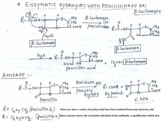 There are also a variety of acylases that have been isolated from some bacteria, and
these enzymes cleave the acylamino sidechain of the antibiotic, a modification which also
 