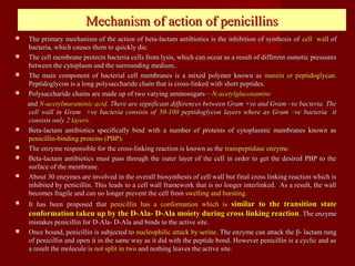 Mechanism of action of penicillinsMechanism of action of penicillins
 The primary mechanism of the action of beta-lactam antibiotics is the inhibition of synthesis ofThe primary mechanism of the action of beta-lactam antibiotics is the inhibition of synthesis of cell walcell wall ofl of
bacteria, which causes them to quickly die.bacteria, which causes them to quickly die.
 The cell membrane protects bacteria cells from lysis, which can occur as a result of different osmotic pressuresThe cell membrane protects bacteria cells from lysis, which can occur as a result of different osmotic pressures
between the cytoplasm and the surrounding medium..between the cytoplasm and the surrounding medium..
 The main component of bacterial cell membranes is a mixed polymer known asThe main component of bacterial cell membranes is a mixed polymer known as murein or peptidoglycanmurein or peptidoglycan..
Peptidoglycon is a long polysaccharide chain that is cross-linked with short peptides.Peptidoglycon is a long polysaccharide chain that is cross-linked with short peptides.
 Polysaccharide chains are made up of two varying aminosugars—Polysaccharide chains are made up of two varying aminosugars—N-acetylglucosamineN-acetylglucosamine
andand N-acetylmuraminic acidN-acetylmuraminic acid. There are significant differences between Gram +ve and Gram –ve bacteria. The. There are significant differences between Gram +ve and Gram –ve bacteria. The
cell wall in Gram +ve bacteria consists ofcell wall in Gram +ve bacteria consists of 50-10050-100 peptidoglycon layers where as Gram –ve bacteria itpeptidoglycon layers where as Gram –ve bacteria it
consists onlyconsists only 2 layers2 layers..
 Beta-lactam antibiotics specifically bind with a number of proteins of cytoplasmic membranes known asBeta-lactam antibiotics specifically bind with a number of proteins of cytoplasmic membranes known as
penicillin-binding proteins (PBP).penicillin-binding proteins (PBP).
 The enzyme responsible for the cross-linking reaction is known as theThe enzyme responsible for the cross-linking reaction is known as the transpeptidase enzyme.transpeptidase enzyme.
 Beta-lactam antibiotics must pass through the outer layer of the cell in order to get the desired PBP to theBeta-lactam antibiotics must pass through the outer layer of the cell in order to get the desired PBP to the
surface of the membrane.surface of the membrane.
 About 30 enzymes are involved in the overall biosynthesis of cell wall but final cross linking reaction which isAbout 30 enzymes are involved in the overall biosynthesis of cell wall but final cross linking reaction which is
inhibited by penicillin. This leads to a cell wall framework that is no longer interlinked. As a result, the wallinhibited by penicillin. This leads to a cell wall framework that is no longer interlinked. As a result, the wall
becomes fragile and can no longer prevent the cell frombecomes fragile and can no longer prevent the cell from swelling and bursting.swelling and bursting.
 It has been proposed thatIt has been proposed that penicillin has a conformation which ispenicillin has a conformation which is similar to the transition statesimilar to the transition state
conformation taken up by the D-Ala- D-Ala moiety during cross linking reactionconformation taken up by the D-Ala- D-Ala moiety during cross linking reaction. The enzyme. The enzyme
mistakes penicillin for D-Ala- D-Ala and binds to the active site.mistakes penicillin for D-Ala- D-Ala and binds to the active site.
 Once bound, penicillin is subjected toOnce bound, penicillin is subjected to nucleophilic attack by serinenucleophilic attack by serine. The enzyme can attack the. The enzyme can attack the ββ- lactam rung- lactam rung
of penicillin and open it in the same way as it did with the peptide bond. However penicillin is a cyclic and asof penicillin and open it in the same way as it did with the peptide bond. However penicillin is a cyclic and as
a result the molecule isa result the molecule is not split in twonot split in two and nothing leaves the active site.and nothing leaves the active site.
 