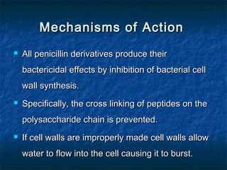 Mechanisms of Action


All penicillin derivatives produce their
bactericidal effects by inhibition of bacterial cell
wall synthesis.



Specifically, the cross linking of peptides on the
polysaccharide chain is prevented.



If cell walls are improperly made cell walls allow
water to flow into the cell causing it to burst.

 