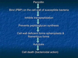 Penicillin
Bind (PBP) on the cell wall of susceptible bacteria
Inhibits transpeptidation
Prevents peptidoglycan synthesis
Cell wall deficient forms spheroplasts &
filamentous forms
Autolysis
Cell death (bactericidal action)

 