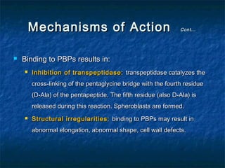 Mechanisms of Action


Cont…

Binding to PBPs results in:


Inhibition of transpeptidase: transpeptidase catalyzes the
cross-linking of the pentaglycine bridge with the fourth residue
(D-Ala) of the pentapeptide. The fifth residue (also D-Ala) is
released during this reaction. Spheroblasts are formed.



Structural irregularities: binding to PBPs may result in
abnormal elongation, abnormal shape, cell wall defects.

 