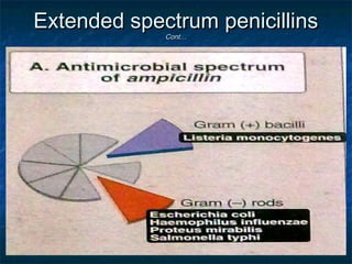 Extended spectrum penicillins
Cont…

 
