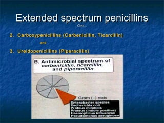 Extended spectrum penicillins
Cont…

2. Carboxypenicillins (Carbenicillin, Ticarcillin)
and

3. Ureidopenicillins (Piperacillin)

 