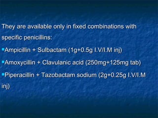 They are available only in fixed combinations with
specific penicillins:
Ampicillin

+ Sulbactam (1g+0.5g I.V/I.M inj)

Amoxycillin

+ Clavulanic acid (250mg+125mg tab)

Piperacillin

+ Tazobactam sodium (2g+0.25g I.V/I.M

inj)

 