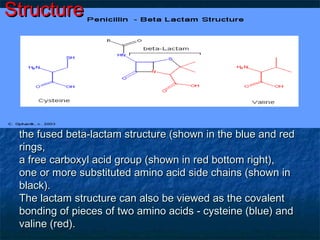 Structure

the fused beta-lactam structure (shown in the blue and red
rings,
a free carboxyl acid group (shown in red bottom right),
one or more substituted amino acid side chains (shown in
black).
The lactam structure can also be viewed as the covalent
bonding of pieces of two amino acids - cysteine (blue) and
valine (red).

 