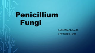 Penicillium
Fungi
SUMANGALA.C.H.
LECTURER,UCM
 