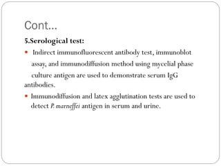 Cont…
5.Serological test:
 Indirect immunofluorescent antibody test, immunoblot
assay, and immunodiffusion method using mycelial phase
culture antigen are used to demonstrate serum IgG
antibodies.
 Immunodiffusion and latex agglutination tests are used to
detect P.marneffei antigen in serum and urine.
 