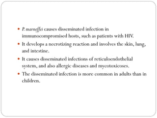  P.marneffei causes disseminated infection in
immunocompromised hosts, such as patients with HIV.
 It develops a necrotizing reaction and involves the skin, lung,
and intestine.
 It causes disseminated infections of reticuloendothelial
system, and also allergic diseases and mycotoxicoses.
 The disseminated infection is more common in adults than in
children.
 