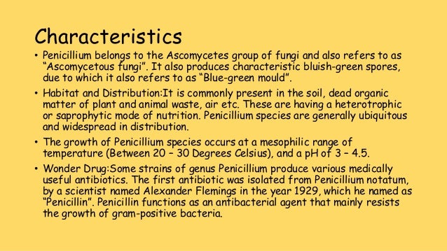 Penicillium ppt