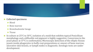  Collected specimens
 Blood
 Bone marrow
 Bronchoalveolar lavage
 Tissue
 In culture at 25°C to 30°C, isolation of a mold that exhibits typical Penicillium
morphology and a diffusible red pigment is highly suggestive. Conversion to the
yeast phase at 37°C is confirmatory. Microscopic detection of the elliptic fission
yeasts inside phagocytes in buffy coat preparations or smears of bone marrow,
ulcerative skin lesions, or lymph nodes is diagnostic. Serologic tests are under
development.
 
