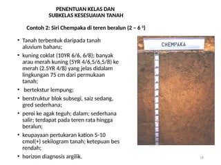 Nota Bagi Penilaian Kesesuaian Tanah-Tanaman | PPTX