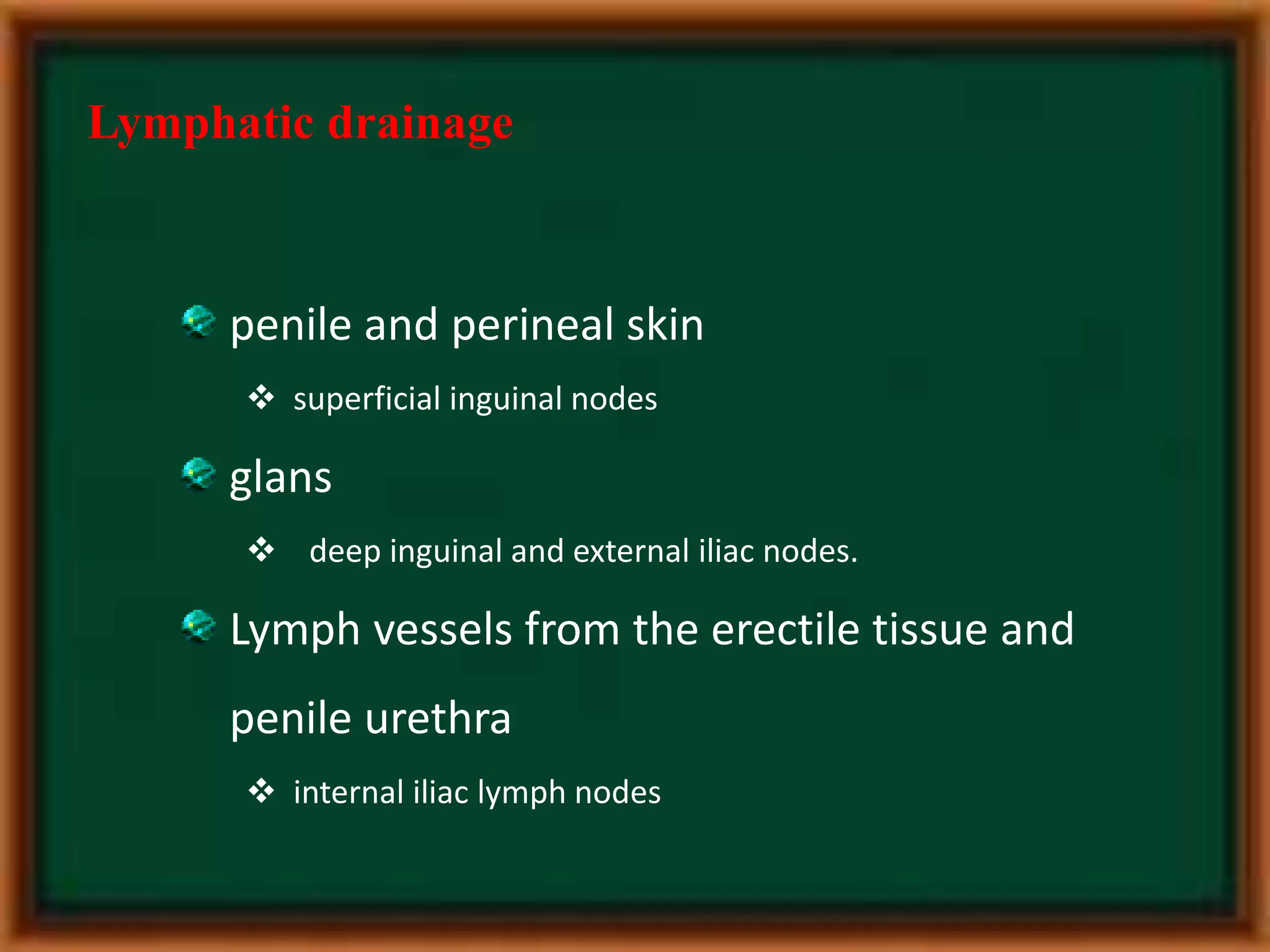 Penile Implants:  A Woman'S Guide To Understanding The Realities - 4hhxt1n