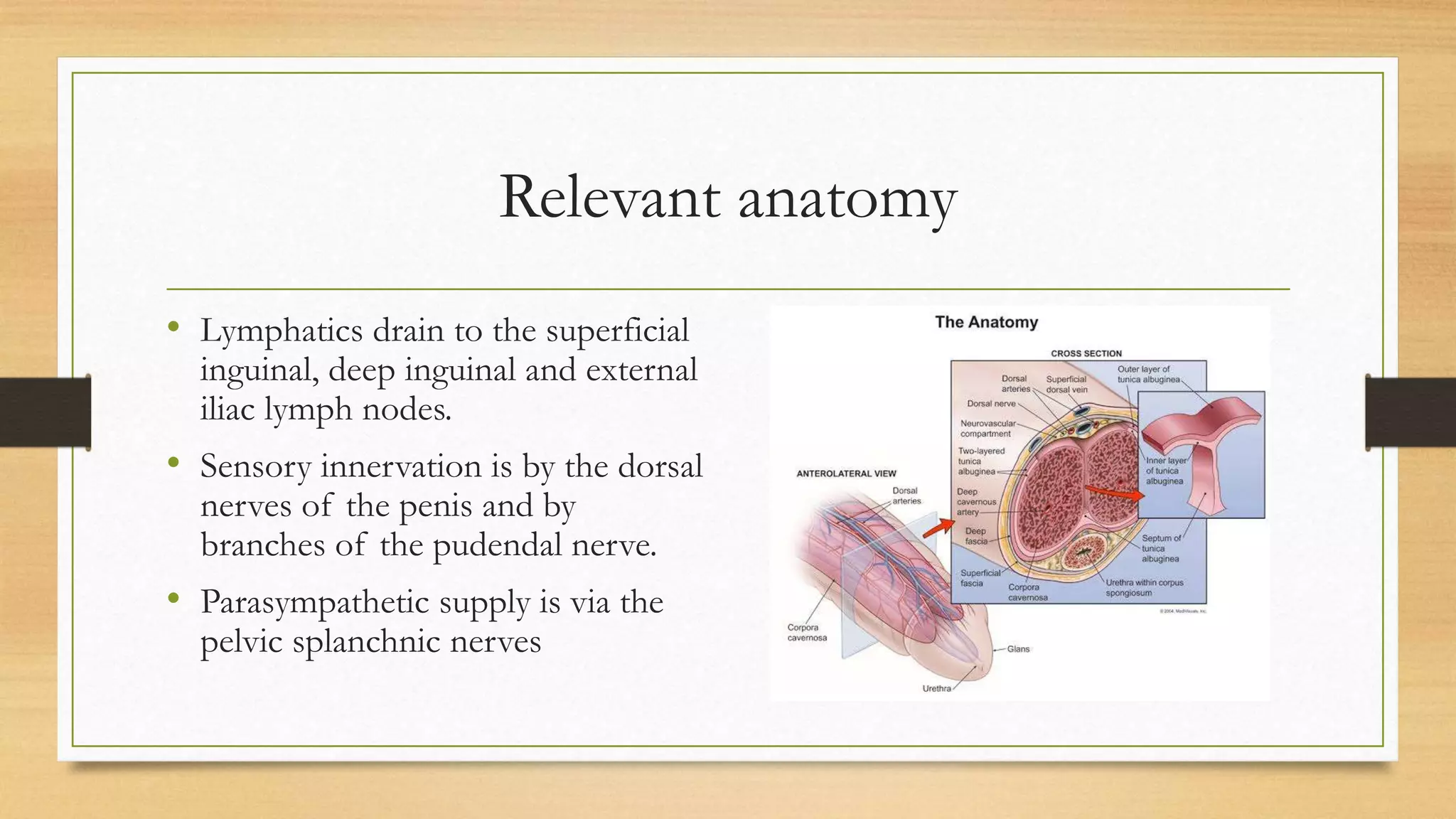 Penile fracture PPTX — free download