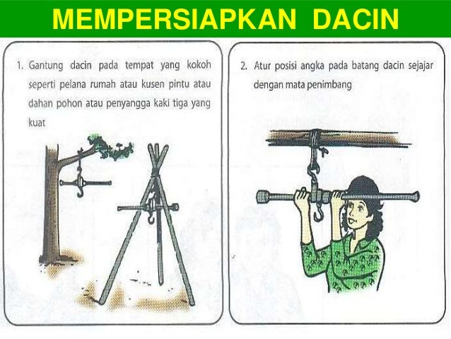 Penimbangan Bb Dan Pengukuran Tb