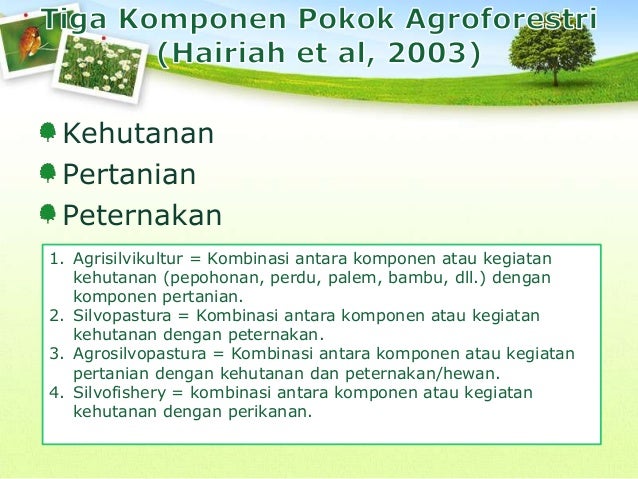 Peningkatan produktifitas lahan dengan system agroforestri 