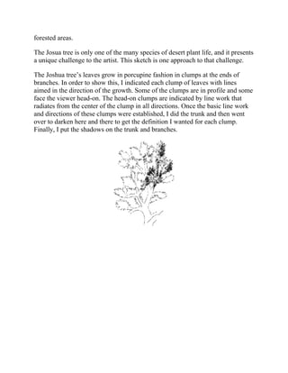 forested areas.
The Josua tree is only one of the many species of desert plant life, and it presents
a unique challenge to the artist. This sketch is one approach to that challenge.
The Joshua tree’s leaves grow in porcupine fashion in clumps at the ends of
branches. In order to show this, I indicated each clump of leaves with lines
aimed in the direction of the growth. Some of the clumps are in profile and some
face the viewer head-on. The head-on clumps are indicated by line work that
radiates from the center of the clump in all directions. Once the basic line work
and directions of these clumps were established, I did the trunk and then went
over to darken here and there to get the definition I wanted for each clump.
Finally, I put the shadows on the trunk and branches.
 