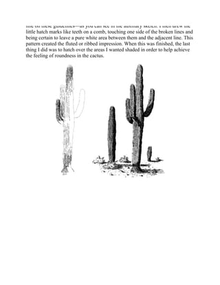 line on these guidelines—as you can see in the auxiliary sketch. I then drew the
little hatch marks like teeth on a comb, touching one side of the broken lines and
being certain to leave a pure white area between them and the adjacent line. This
pattern created the fluted or ribbed impression. When this was finished, the last
thing I did was to hatch over the areas I wanted shaded in order to help achieve
the feeling of roundness in the cactus.
 