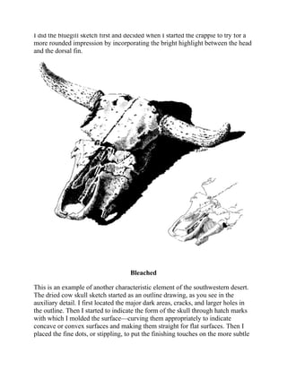 I did the bluegill sketch first and decided when I started the crappie to try for a
more rounded impression by incorporating the bright highlight between the head
and the dorsal fin.
Bleached
This is an example of another characteristic element of the southwestern desert.
The dried cow skull sketch started as an outline drawing, as you see in the
auxiliary detail. I first located the major dark areas, cracks, and larger holes in
the outline. Then I started to indicate the form of the skull through hatch marks
with which I molded the surface—curving them appropriately to indicate
concave or convex surfaces and making them straight for flat surfaces. Then I
placed the fine dots, or stippling, to put the finishing touches on the more subtle
 