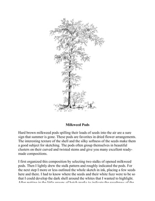 Milkweed Pods
Hard brown milkweed pods spilling their loads of seeds into the air are a sure
sign that summer is gone. These pods are favorites in dried flower arrangements.
The interesting texture of the shell and the silky softness of the seeds make them
a good subject for sketching. The pods often group themselves in beautiful
clusters on their curved and twisted stems and give you many excellent ready-
made compositions.
I first organized this composition by selecting two stalks of opened milkweed
pods. Then I lightly drew the stalk pattern and roughly indicated the pods. For
the next step I more or less outlined the whole sketch in ink, placing a few seeds
here and there. I had to know where the seeds and their white fuzz were to be so
that I could develop the dark shell around the whites that I wanted to highlight.
After putting in the little groups of hatch marks to indicate the roughness of the
 