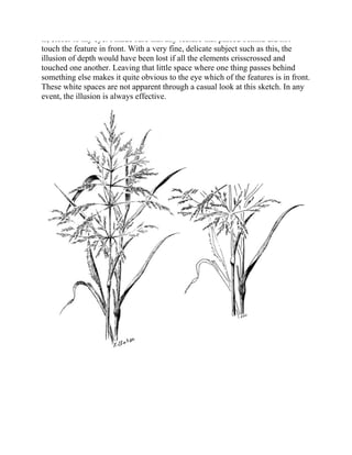 is, closer to my eye. I made sure that any feature that passed behind did not
touch the feature in front. With a very fine, delicate subject such as this, the
illusion of depth would have been lost if all the elements crisscrossed and
touched one another. Leaving that little space where one thing passes behind
something else makes it quite obvious to the eye which of the features is in front.
These white spaces are not apparent through a casual look at this sketch. In any
event, the illusion is always effective.
 