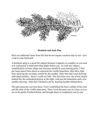 Hemlock and Jack Pine
Here are additional items from life that do not require vacation trips to see—just
a trip to your backyard.
A hemlock sprig is a good life subject because it appears so complex as you look
at it with pencil in hand and white paper before you. As with any subject,
simplification to basic shape and structure should be your starting point. I first
put some pencil lines down to represent the visible branchlets, then drew light
lines showing the envelope created by the needles. Only then did I start drawing
individual needles—those I could see fully. The first time over, the whole sketch
looked like the unfinished portion to the right, with just the branchlets and a few
needles showing. After this I fleshed it out by drawing needles behind these.
The jack pinecone was less fussy. First I established the basic outline of the cone
and the ends of the visible open parts. Then I took the parts one at a time, as you
see in the partly finished sketch, and brought them to completion one by one.
 