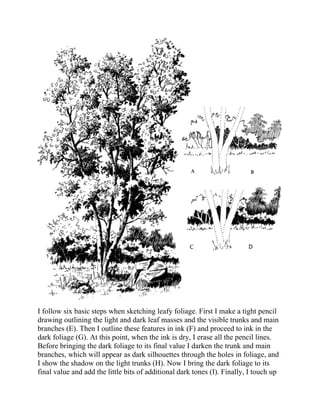 I follow six basic steps when sketching leafy foliage. First I make a tight pencil
drawing outlining the light and dark leaf masses and the visible trunks and main
branches (E). Then I outline these features in ink (F) and proceed to ink in the
dark foliage (G). At this point, when the ink is dry, I erase all the pencil lines.
Before bringing the dark foliage to its final value I darken the trunk and main
branches, which will appear as dark silhouettes through the holes in foliage, and
I show the shadow on the light trunks (H). Now I bring the dark foliage to its
final value and add the little bits of additional dark tones (I). Finally, I touch up
 