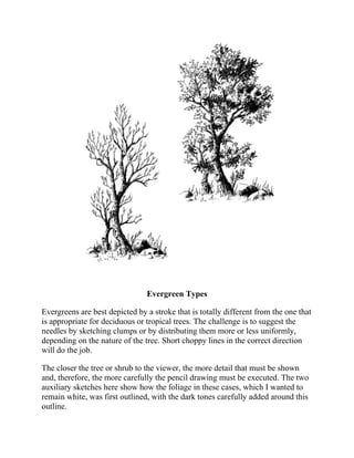 Evergreen Types
Evergreens are best depicted by a stroke that is totally different from the one that
is appropriate for deciduous or tropical trees. The challenge is to suggest the
needles by sketching clumps or by distributing them more or less uniformly,
depending on the nature of the tree. Short choppy lines in the correct direction
will do the job.
The closer the tree or shrub to the viewer, the more detail that must be shown
and, therefore, the more carefully the pencil drawing must be executed. The two
auxiliary sketches here show how the foliage in these cases, which I wanted to
remain white, was first outlined, with the dark tones carefully added around this
outline.
 