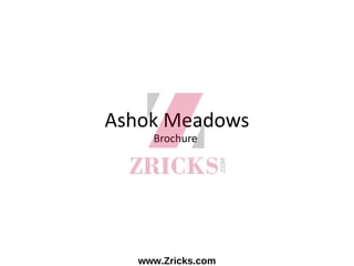 Ashok Meadows
Brochure
www.Zricks.com
 