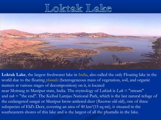 Loktak Lake, the largest freshwater lake in India, also called the only Floating lake in the
world due to the floating phumdis (heterogeneous mass of vegetation, soil, and organic
matters at various stages of decomposition) on it, is located
near Moirang in Manipur state, India. The etymology of Loktak is Lok = "stream"
and tak = "the end". The Keibul Lamjao National Park, which is the last natural refuge of
the endangered sangai or Manipur brow-antlered deer (Rucervus eldi eldi), one of three
subspecies of Eld's Deer, covering an area of 40 km2
(15 sq mi), is situated in the
southeastern shores of this lake and is the largest of all the phumdis in the lake.
 